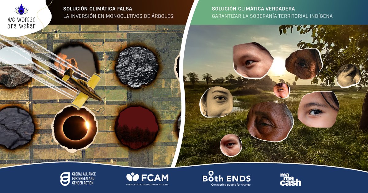 La comunidad Qom de Paraguay se opone a las nocivas plantaciones de eucaliptos. La comunidad está tomando medidas mediante denuncias, la organización de manifestaciones y la sensibilización sobre su situación. Ver el vídeo gaggaalliance.org/wwaw-paraguay-… #LasMujeresSomosAgua