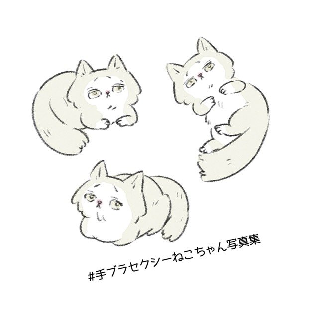 そして忘れた頃にとびにゃん🐱 https://t.co/Ns8EVV1lNq