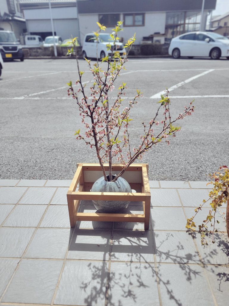 ちょっと前、近所のお弁当屋さんに初めて行った時の
お茶を頂きながら待っている時の写真を置いて本日を終えさせて頂きます。
皆様、良き明日をお迎えください。
またね。