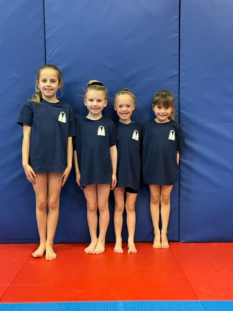 WhitwickPrimary's tweet photo. Leicestershire County Gym Champions!!
Today out Key Steps 1 Gymnastics team represented NW Leicestershire at the County Finals. 

We are very proud to say that the team went on to win the event, becoming Leicestershire and Rutland County Champions!

What a fantastic achievement! https://t.co/1GTr2s1XAn