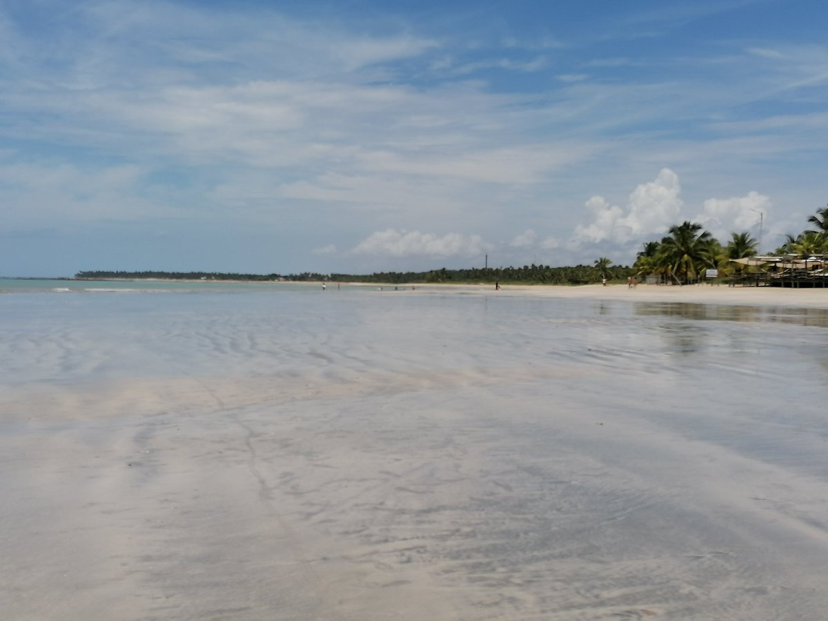 skymanuelima's tweet photo. Praia de Sauaçuhy, Ipioca, Maceió, Alagoas 🇧🇷 #Praia_de_Sauaçuhy #Ipioca #Maceió #Alagoas #Brasil #travelphotography #viagens #FotógrafoAmador https://t.co/mWvsov2Zvb