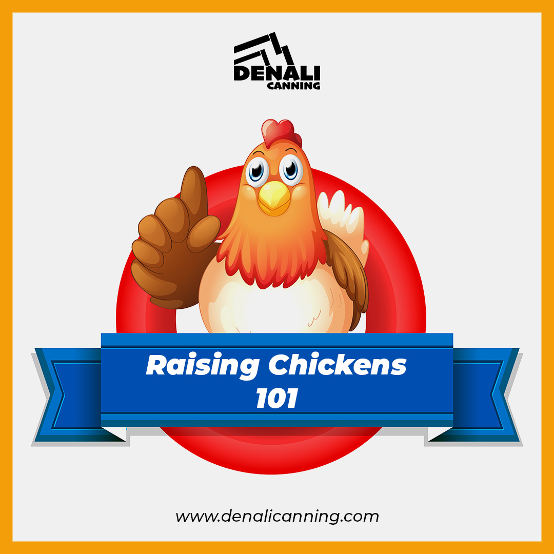 Thinking of raising chickens? 🐔 Learn the do's and don'ts of raising happy and healthy chickens with Denali Canning. #DenaliCanning #BackyardChickens #HomesteadingTips

👉denalicanning.com/blogs/news/rai…