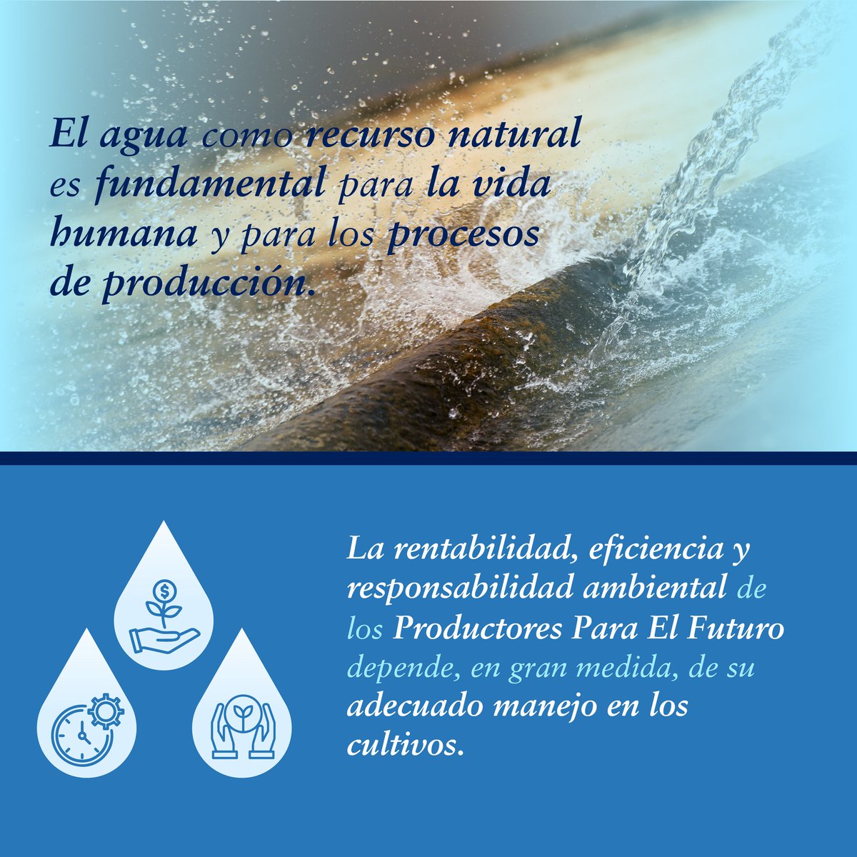 Hoy en el #DíaMundialdelAgua, resaltamos la importancia del agua dulce y su gestión sostenible; es vital para la vida humana y producción de alimentos. La rentabilidad y eficiencia de los #ProductoresParaElFuturo depende del buen manejo del agua en sus cultivos. #CuidemosElAgua