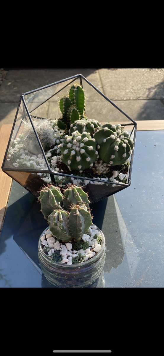 Jack Webb tweet media