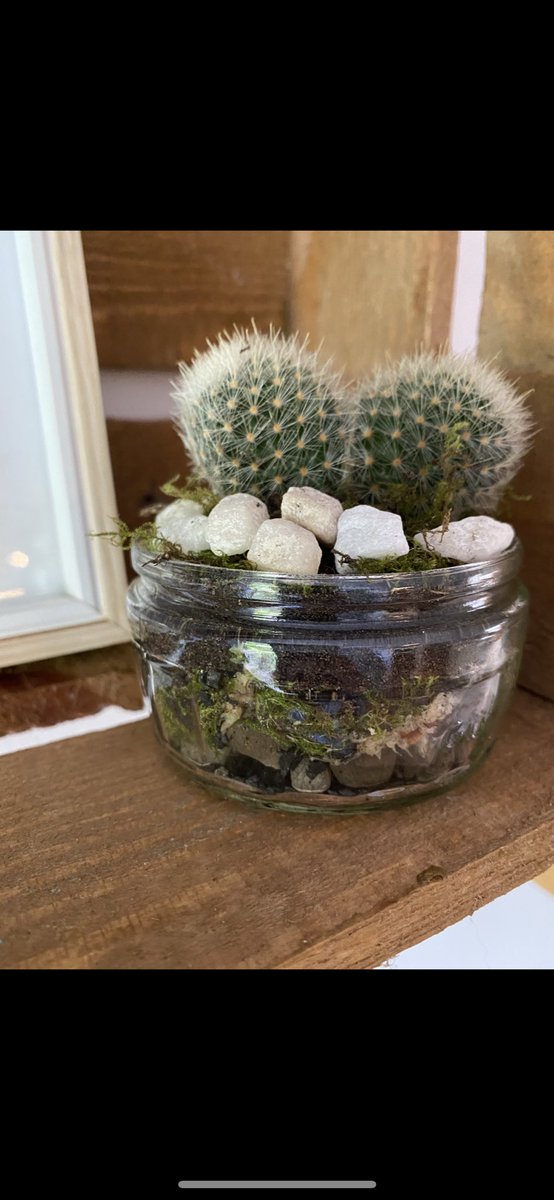 Jack Webb tweet media