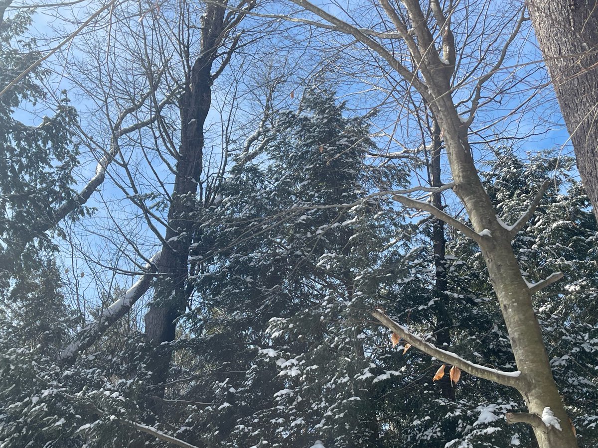 newenglandernec's tweet photo. Warmer N.H. Winter Impacting Some Outdoor Activities by   - https://t.co/hwNMXXeP40 https://t.co/cvIZd9Fogs