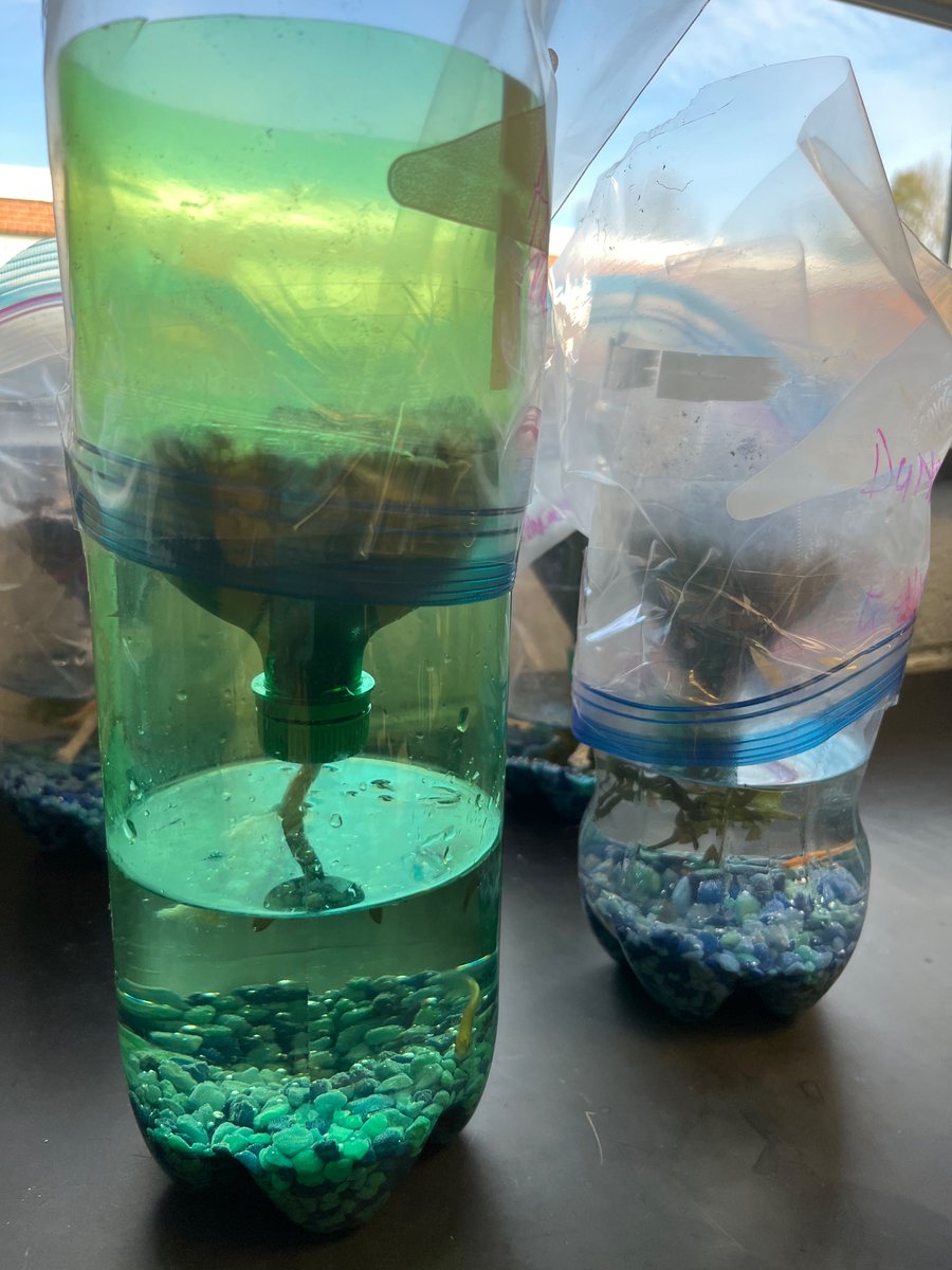 Mrs. Smith tweet media