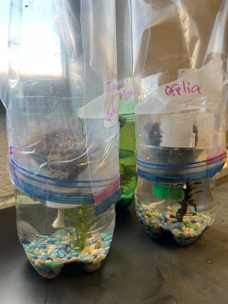 Mrs. Smith tweet media