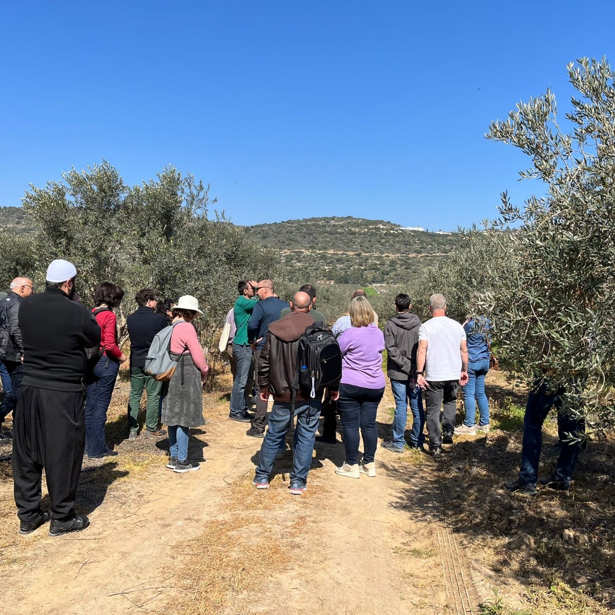 artolio1's tweet photo. At 🌍ARTOLIO🍃, we work for the prosperity of our farmers, and we try to direct them towards the best growing practices so that they can become the best version of themselves and compete in a more open market. 

#artolio #gomed #eu #evoo #olive #israel https://t.co/GLD5KGnhKB