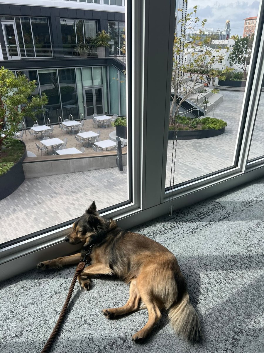 Lounging on the job 🐕

#TheCulverStudios #theculversteps #culvercity #culversteps #Hollywood #LosAngeles #Movies #ProductionMovies #Production