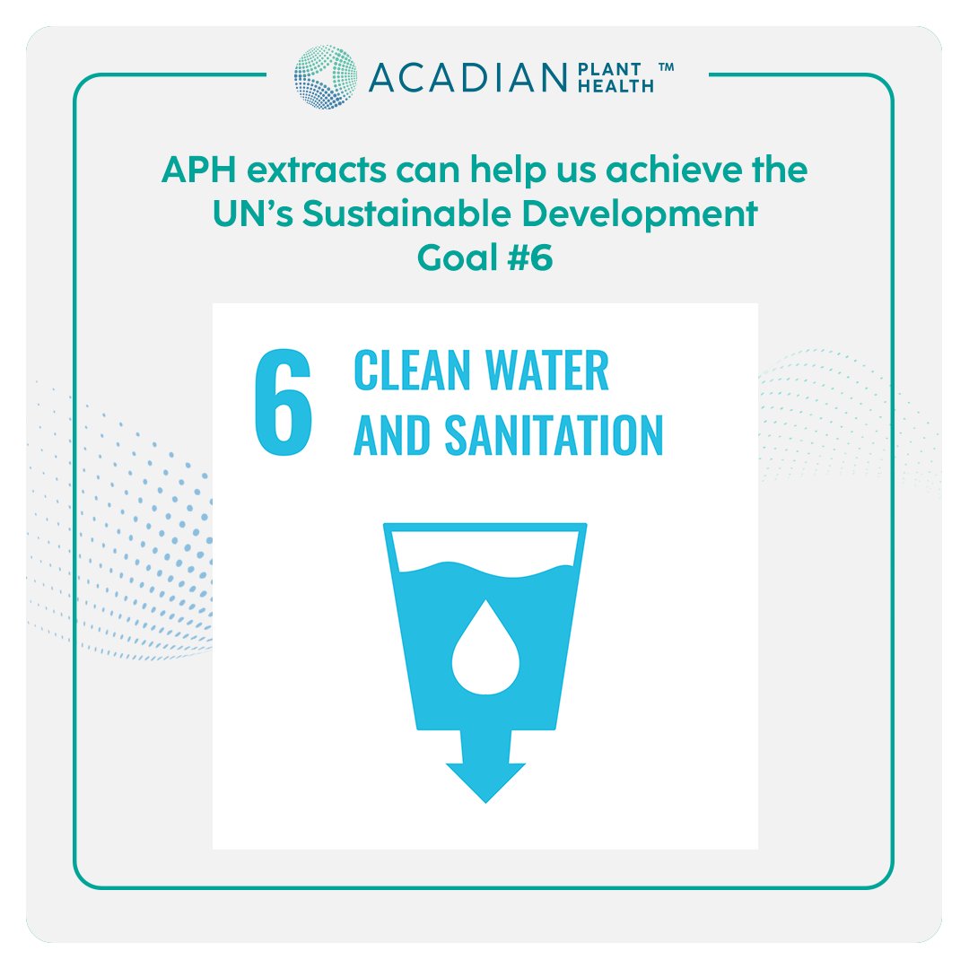 APH biostimulants are proven to help plants stay healthy while using water more efficiently. Together, we can help to achieve the UN’s Sustainable Development Goal # 6: Clean Water and Sanitation. Learn more: bit.ly/3yaxUZu #farming #sustainable #WorldWaterDay