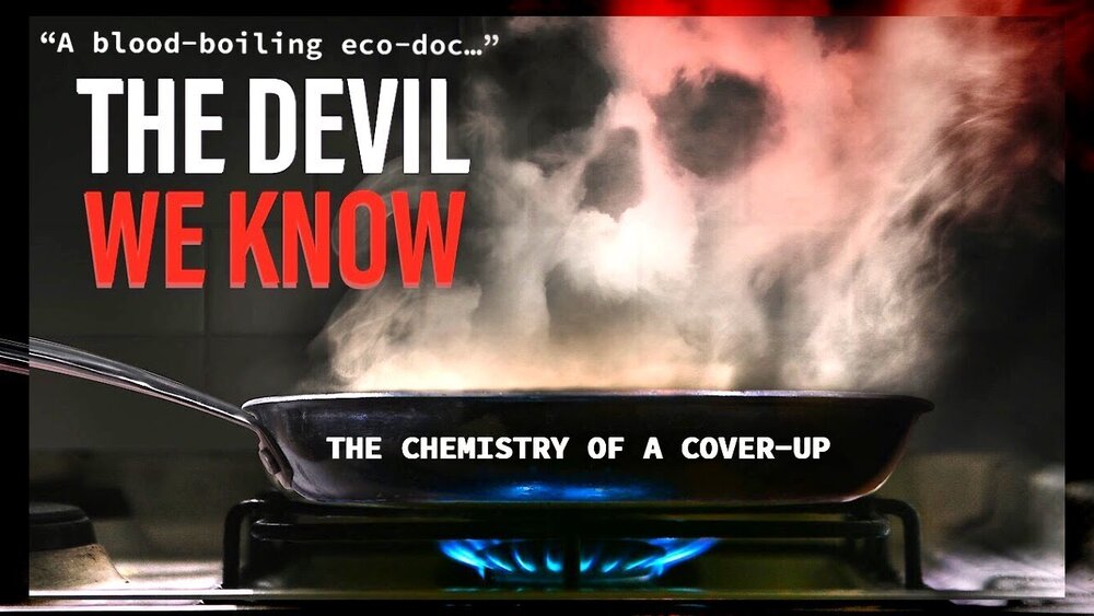 A must-watch! The <a href="/DevilWeKnowFilm/">The Devil We Know</a> is my featured Favourite Thing of the week. Learn more about this documentary film and #ForeverChemicals in TWIC. thewellnessintelligencecollective.com/posts/the-devi… #TheDevilWeKnow #Teflon #PFAS