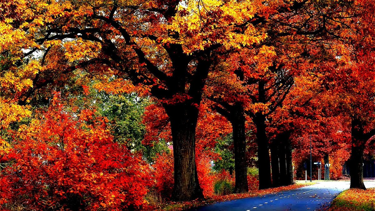 George Arthur (@nelsonsila22670) on Twitter photo 