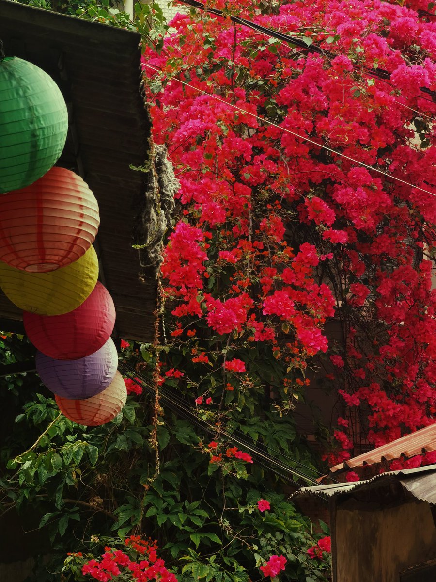 ToqaReign's tweet image. just came back from Taipei~ and I already can't wait to go back ❤️❤️