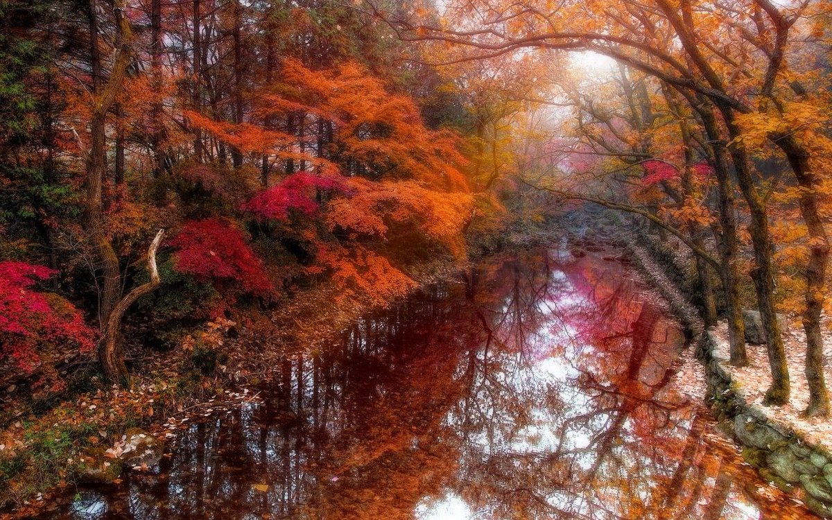 George Arthur (@nelsonsila22670) on Twitter photo 