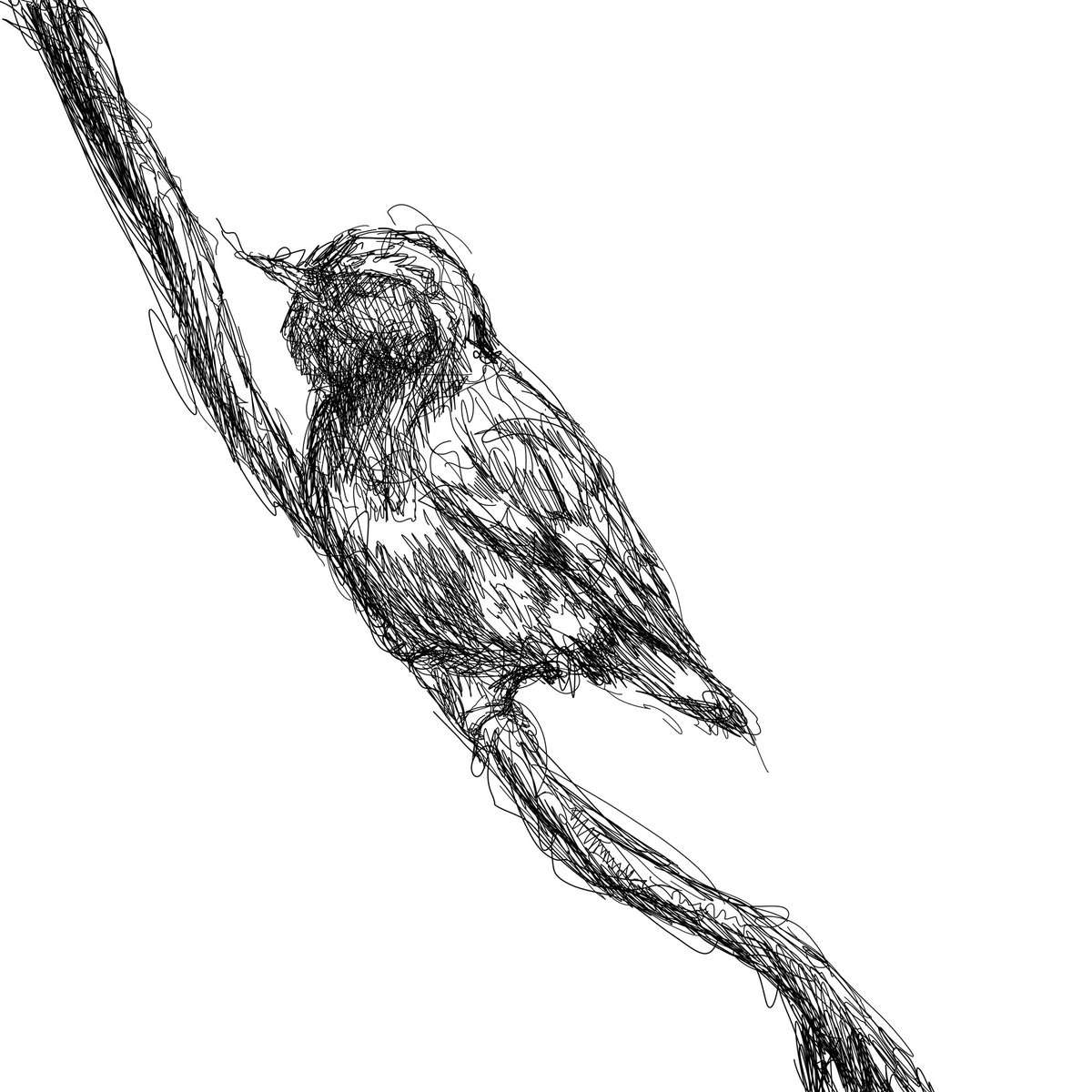 #イラスト  #イラスト好きさんと繋がりたい  #絵
#絵かきさんと繋がりたい  #鳥