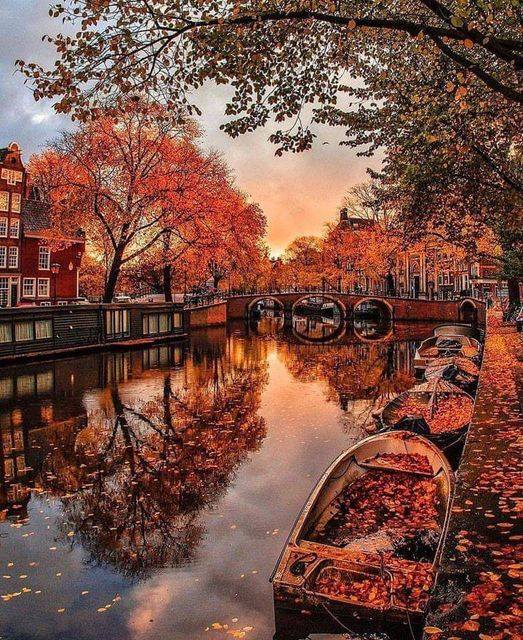 George Arthur (@nelsonsila22670) on Twitter photo 