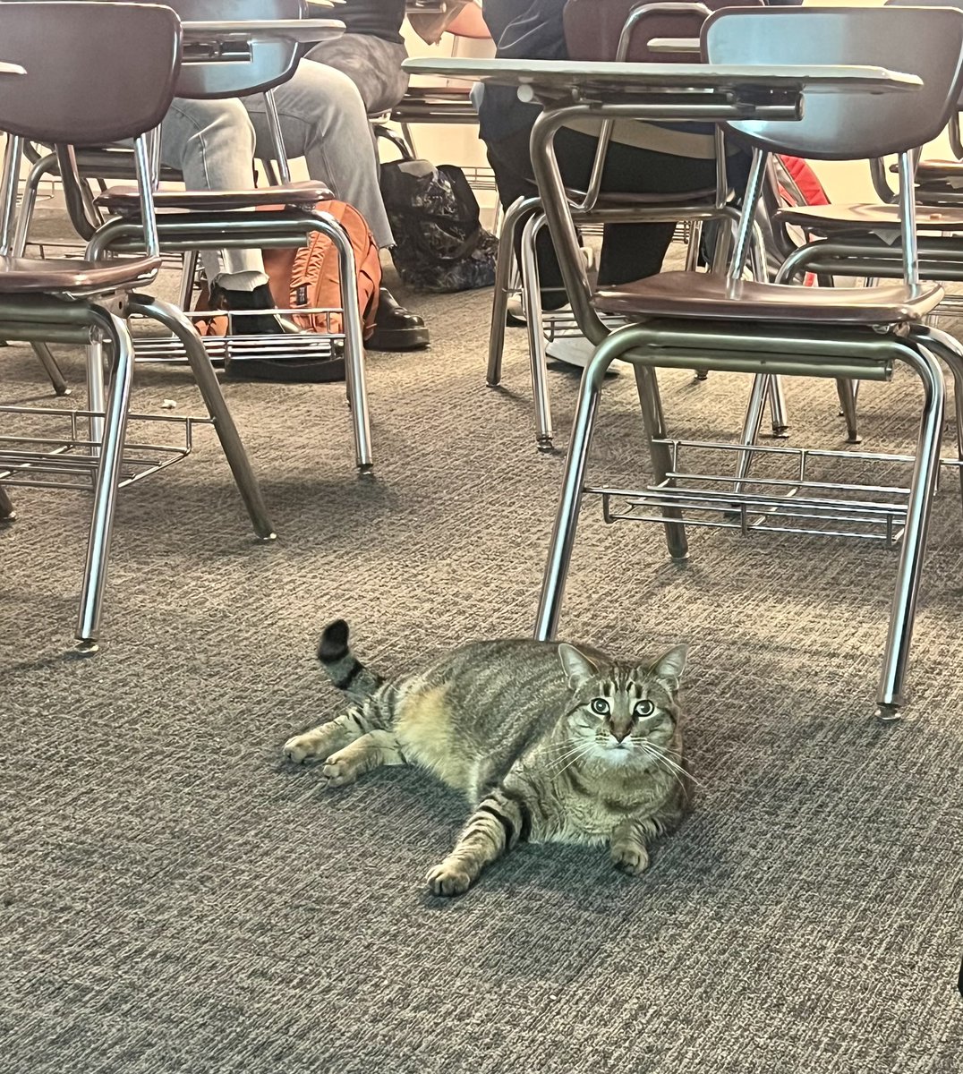 Suzanne Chod (She/Her) tweet media