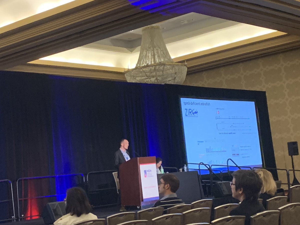 Monkol Lek tweet media