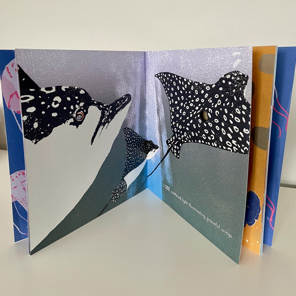 I SEE THE SEA... Breathtaking art by @julia2groves, poetic text, and information at the back with tons of facts about these fabulous creatures and how we can protect them and their waters. Bold in every way. #TeachingResources childs-play.com/products/97817… #WaterAction #WorldWaterDay
