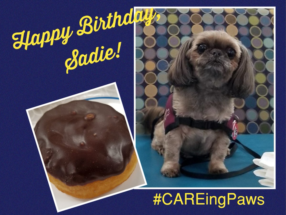 Celebrating our <a href="/CAREingPaws/">CAREing Paws</a> reading dog, Sadie, on her birthday! Such a treasure having Sadie and Ms. Sandy reading with some of our students!