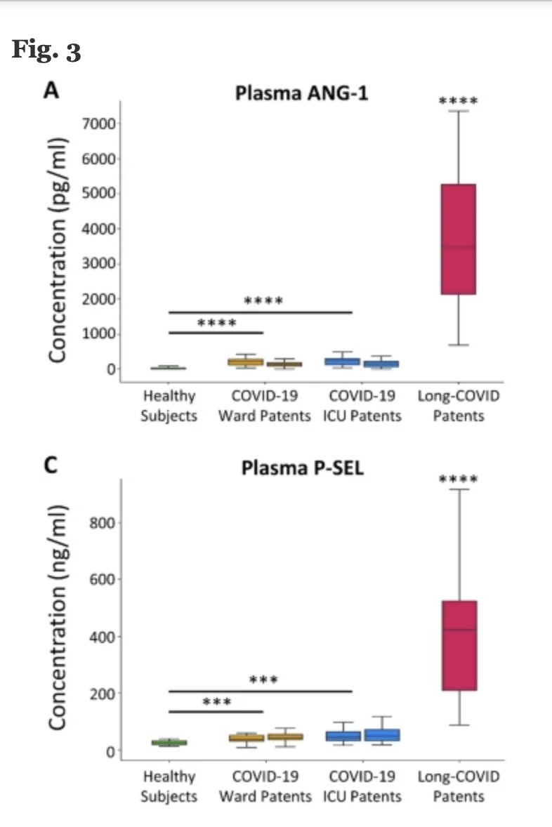 Gorka Orive tweet media
