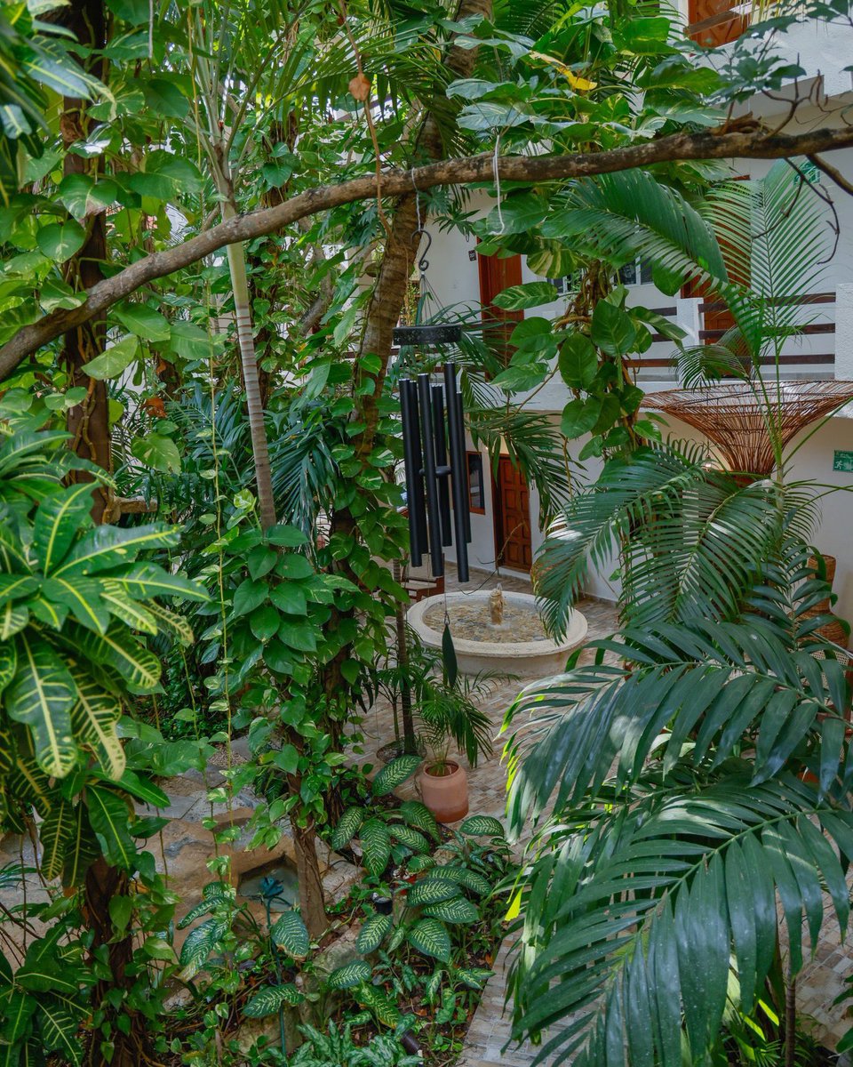 A veces solo necesitas detenerte y relajarte en nuestros jardines tropicales.

#HotelHulKú #PlayadelCarmen #QuintanaRoo #RivieraMaya #Viajeros #México #HotelBoutique #MéxicoDestinos #MéxicoDesconocido #VisitPlaya #VisitMexico
linktr.ee/hotelhulku