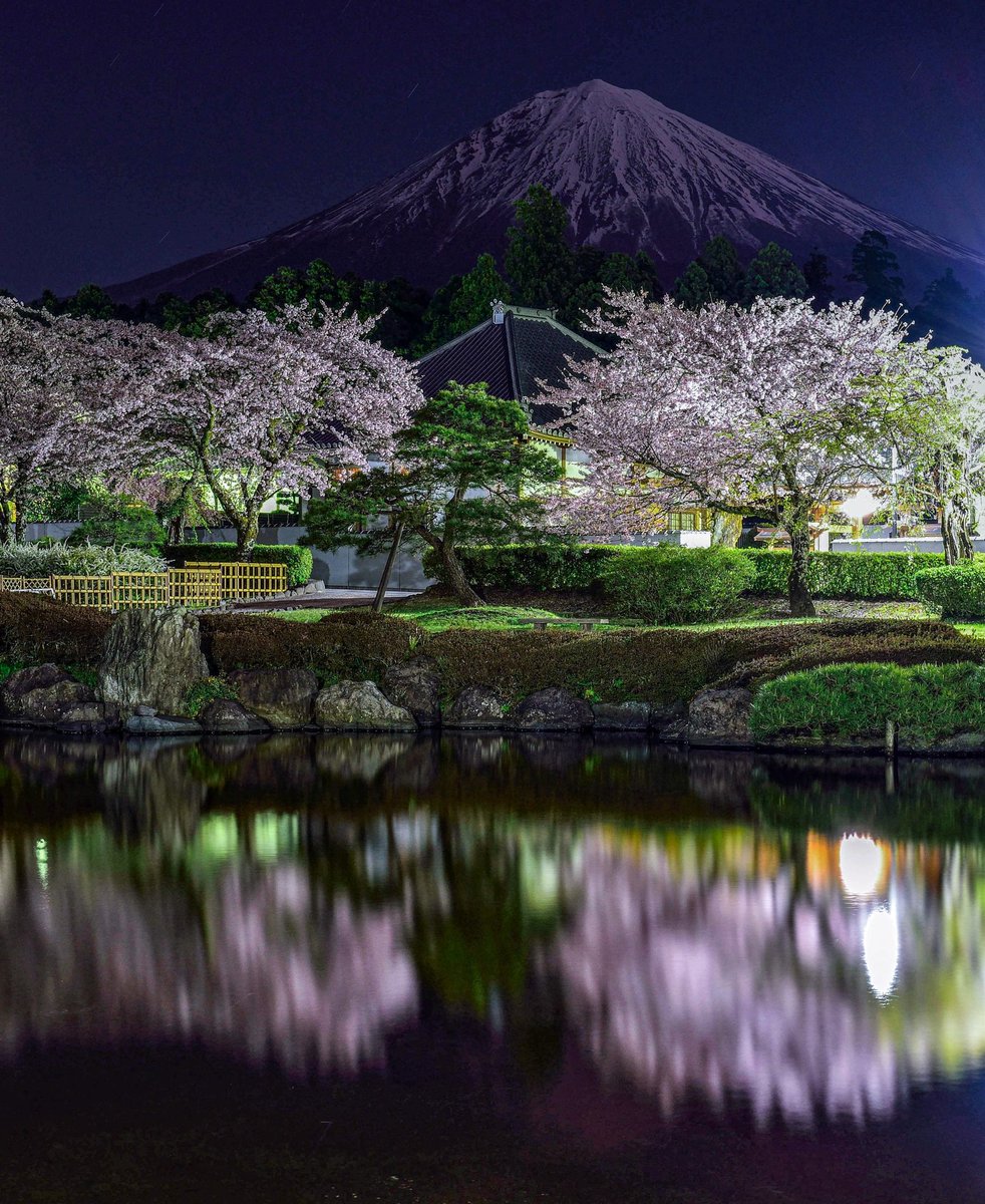 富士宮市からの桜と富士山です。幻想的な夜景でした。 過去の作品