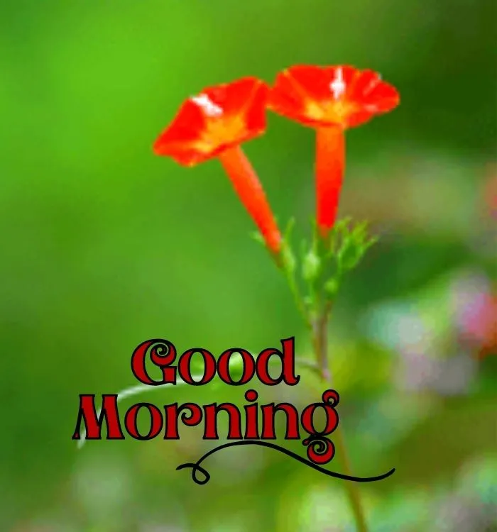 dicky_098's tweet image. Good morning
