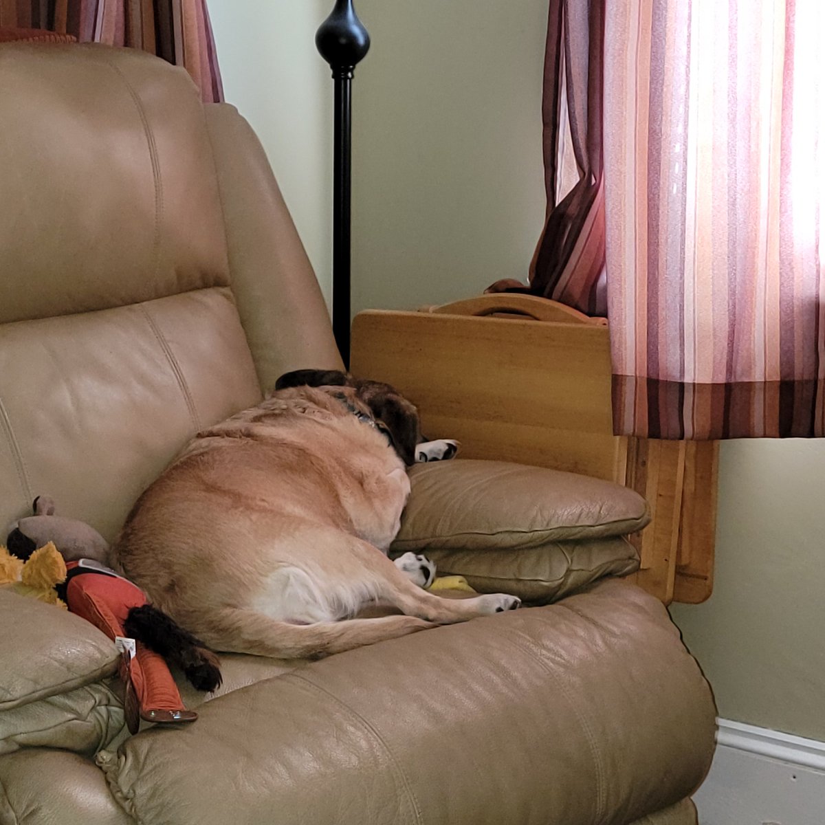 Hook104's tweet photo. @Pooch3255, Caycee has had her fill of COD https://t.co/J5GqjZS50N