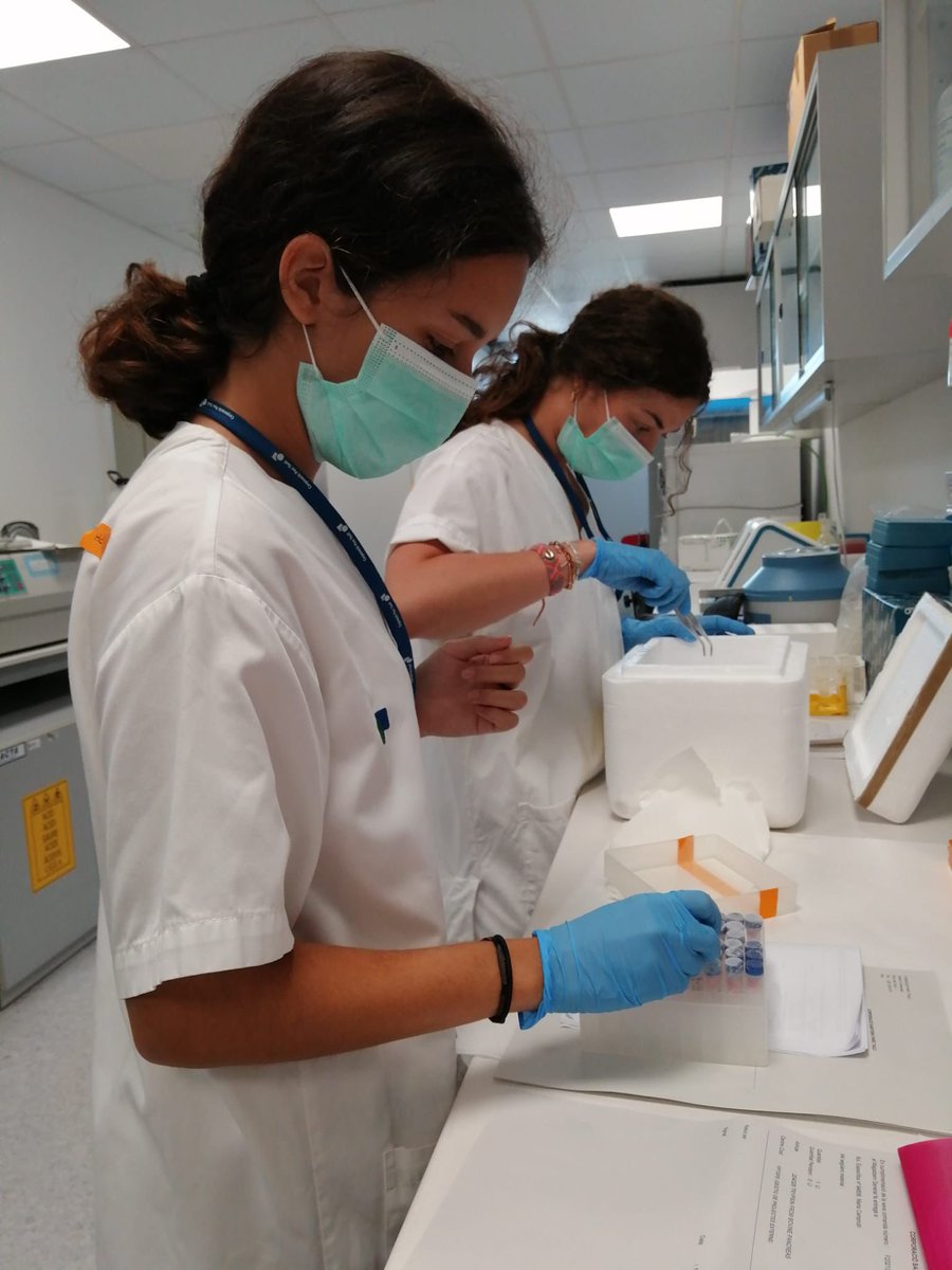 Breath4Research's tweet photo. Feliç dia a qui sempre et roba el marker i et fa més amens els protocols, feliç #diadelcompanydelaboratori 👩🏻‍🔬🧫🔬
#Breath4Research #Recercabàsica @I3ptT https://t.co/PsxYT6Fvam