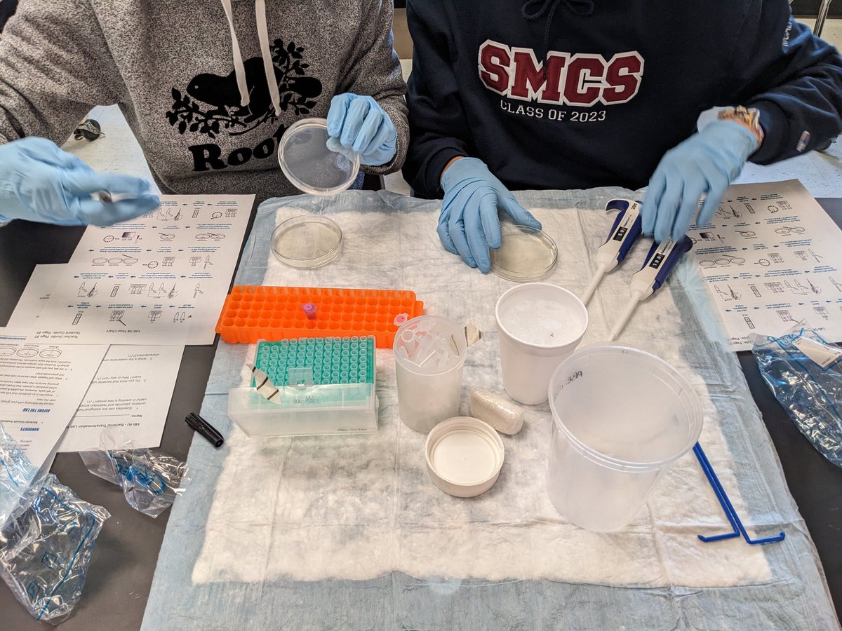 Sarah Gallah tweet media