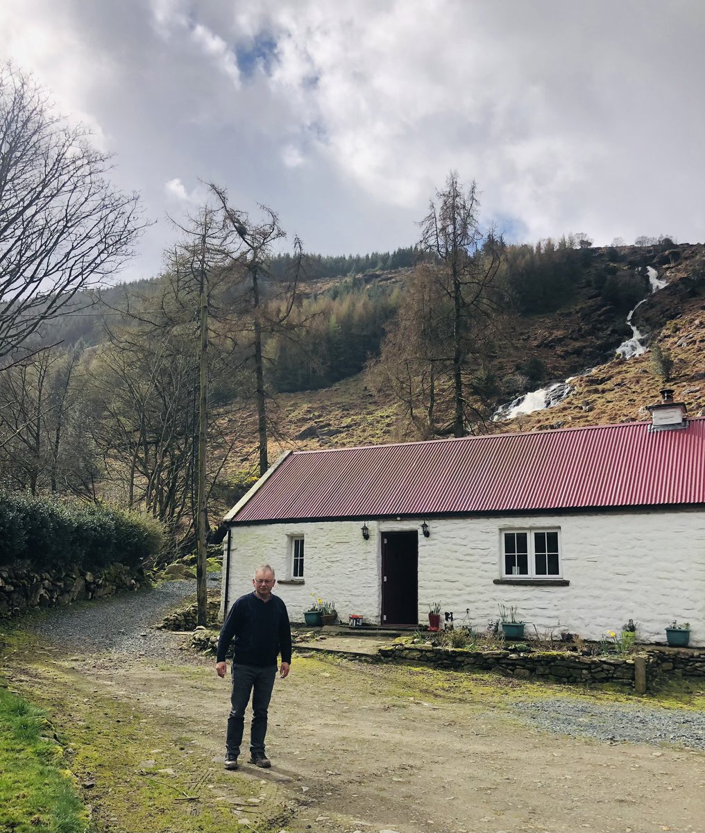 Suzanne Campbell tweet media