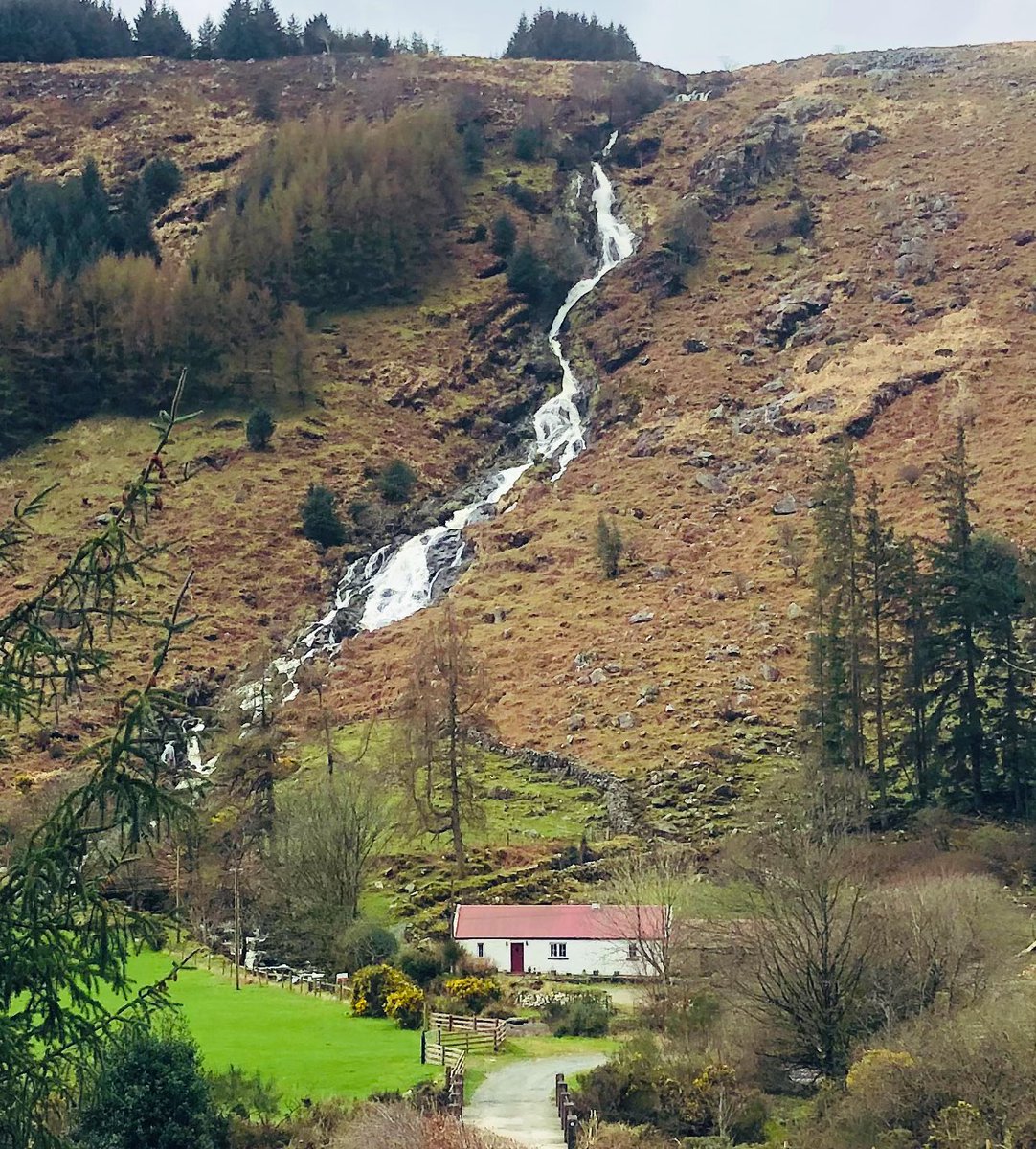 Suzanne Campbell tweet media