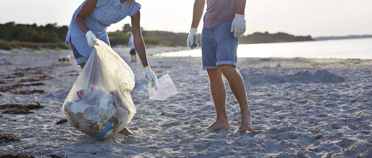 Morgan Brown tweet media