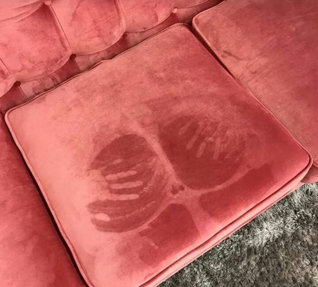 Se habrán quedado dormidos en el sillón?
Parece que tuvieron un #FelizMiercoles