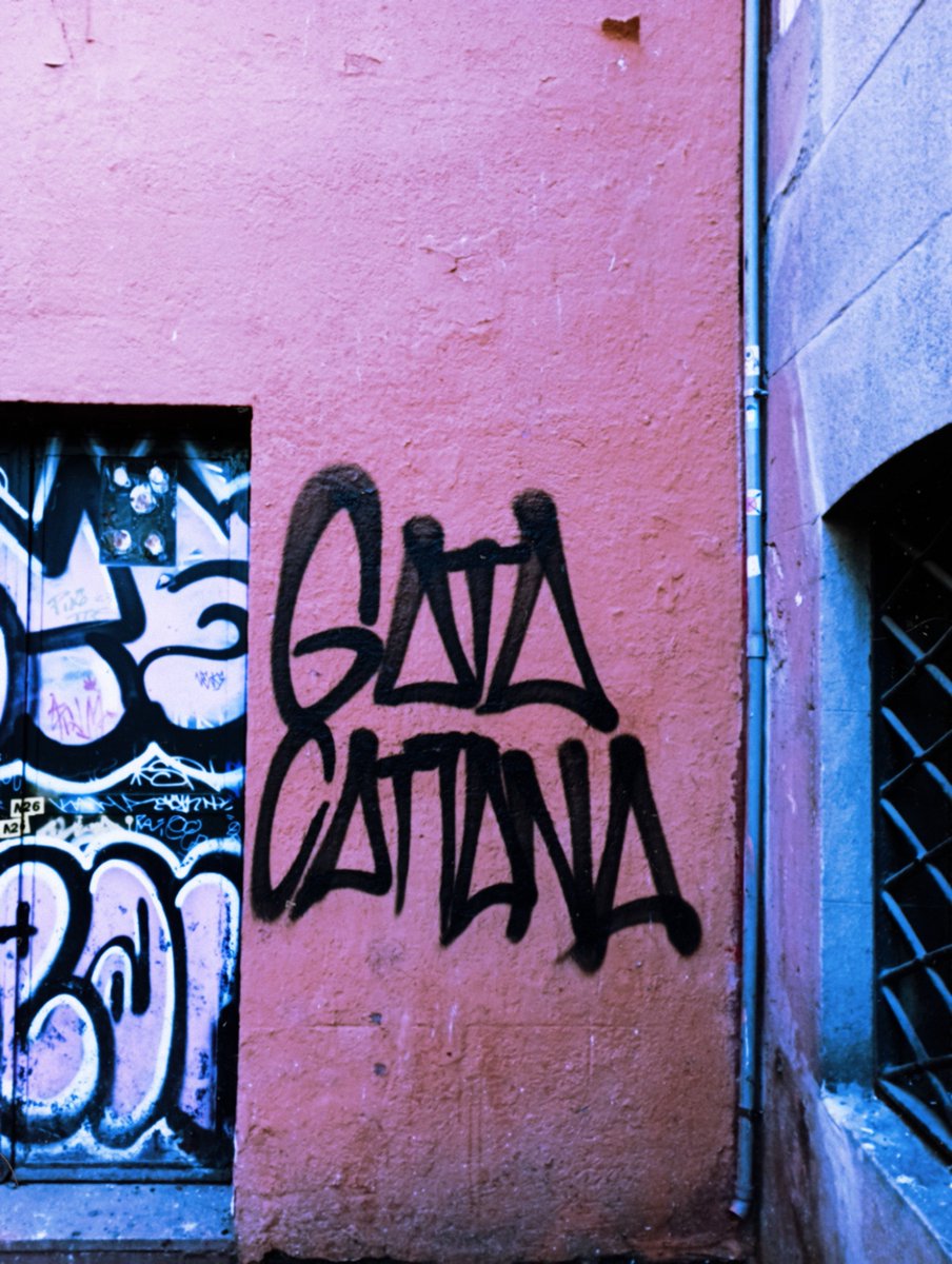 "Llevaba la polémica en las raíces, y jamás me basto la mera existencia." - Gata Cattana.
(Una calle de Madrid, marzo 2023)