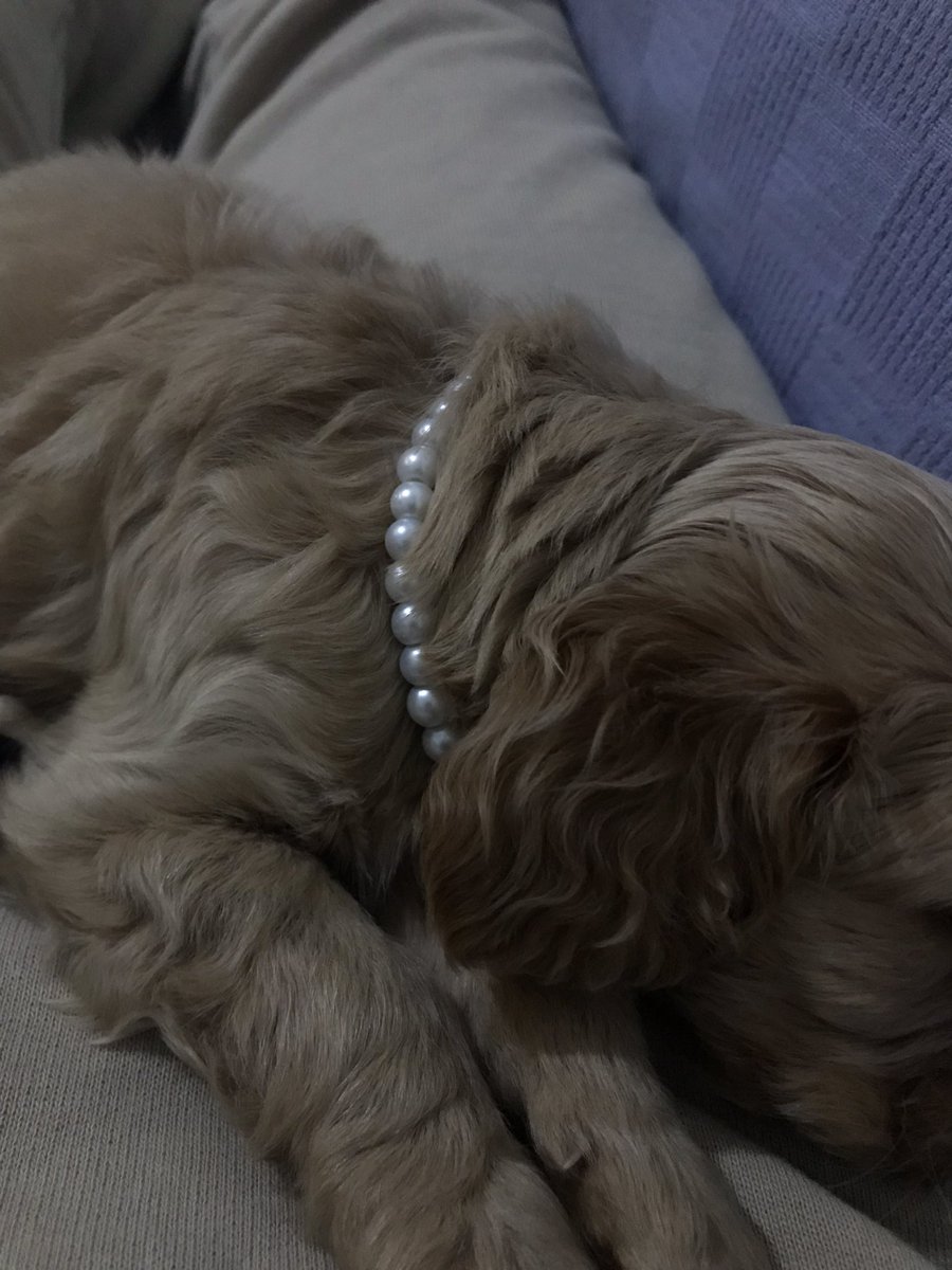 inci kolye taktırabilidiğim tek erkek