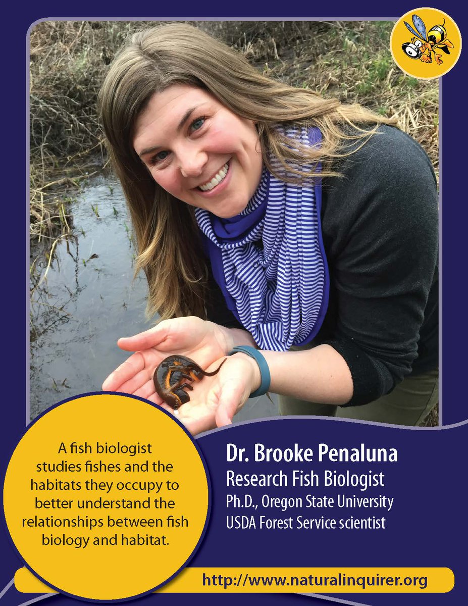 SciNetUCS's tweet photo. #HelloMyNameIs @BrookePenaluna. 

I’m a Research Fish Biologist at @usfs_pnwrs &amp; PNWs Lead Scientist at @HJA_Live 

I’m taking over @SciNetUCS to share fish photos, fishy stories, &amp; findings about trout, fish, streams, rivers, watersheds &amp; #STEMdiversity https://t.co/i447LsgckC