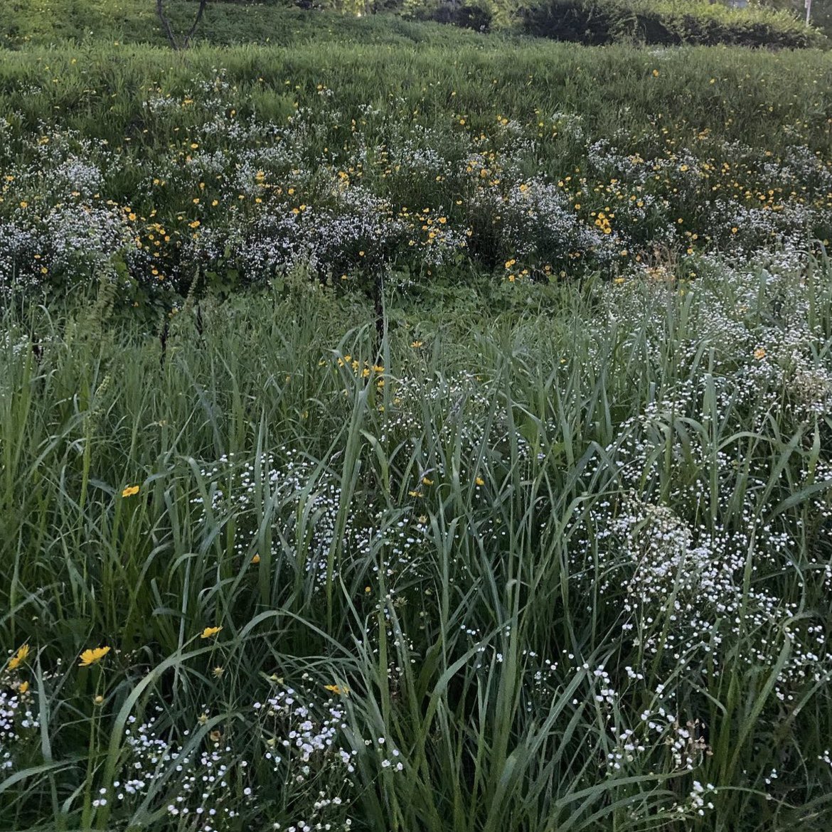 음란한 일상에 절여진 여자지만
겉으로 보기에 너무 평범하고 지극히 일상적이에요
#섹트 #펨섭 #펫 #디그 #마조 #애널