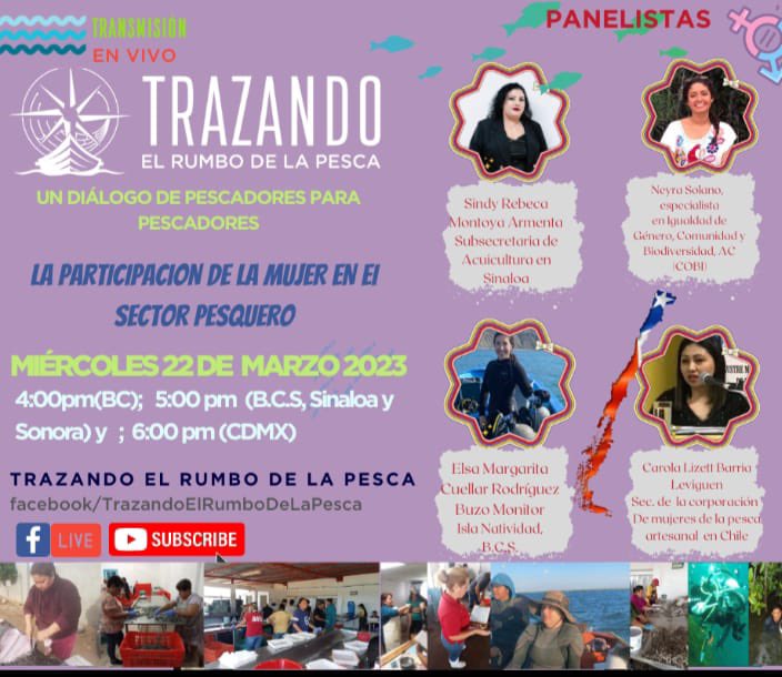 #MujeresFEDESSP
#TrazandoelRumbodelaPesca
#EsHoy
“La Participación de la Mujer en el Sector Pesquero”
🗓️ Invita <a href="/sidtpa/">SIDTPA</a> 

<a href="/LetyGutierrezC/">Leticia Gutiérrez</a> 
<a href="/sntinegi/">SNTINEGI</a> 
<a href="/LicSandraLozan1/">Lic. Sandra Lozano</a> 
<a href="/RMSindicalistas/">Red de Mujeres Sindicalistas</a> 💜