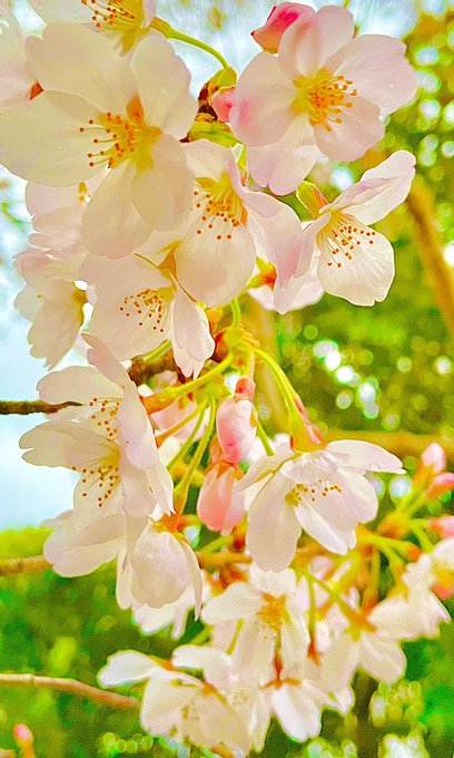safarov851's tweet photo. On bir aydır özleriz biz
 Yollarını gözleriz biz  #MerhabaŞehriRamazan https://t.co/nP7dEN9vxG