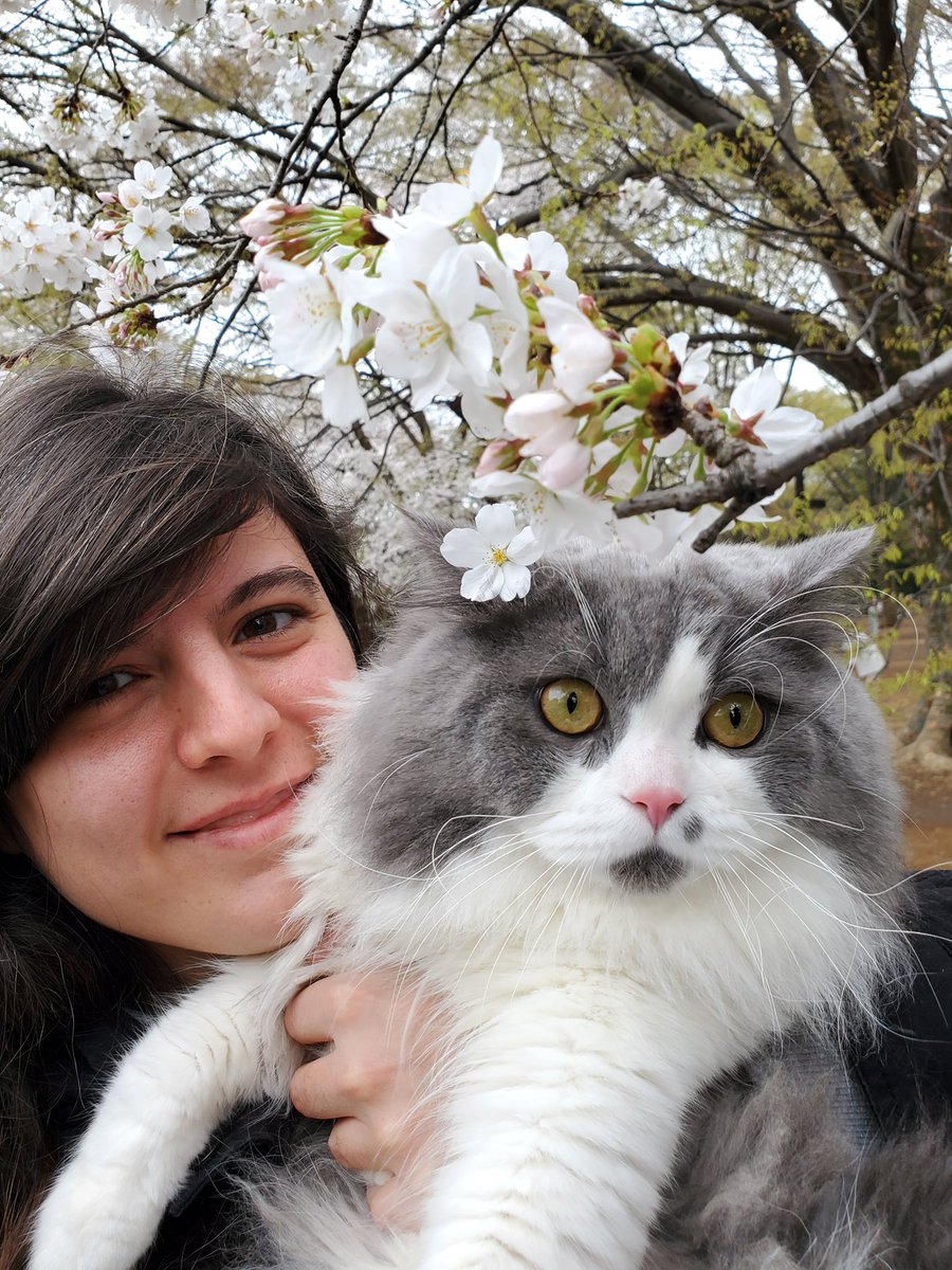 elly_lakes's tweet photo. Here is a little photo shoot of Mr. Fuzzy and me among Sakura 🌸 It feels like a soft dream 💭
#ellylakes #InsideJapan #sakura #MrFuzzy https://t.co/uI4D74ZJpp