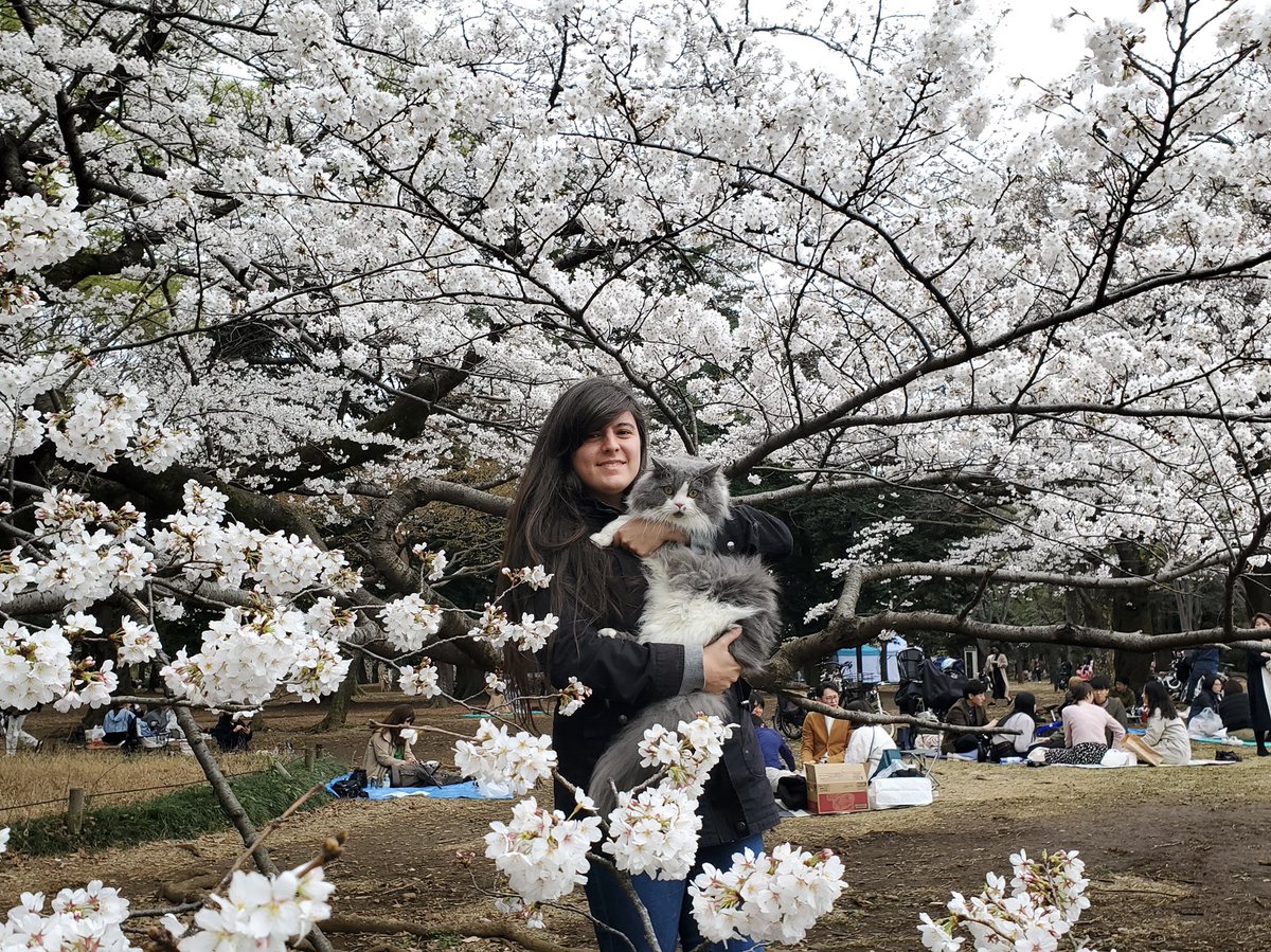 elly_lakes's tweet photo. Here is a little photo shoot of Mr. Fuzzy and me among Sakura 🌸 It feels like a soft dream 💭
#ellylakes #InsideJapan #sakura #MrFuzzy https://t.co/uI4D74ZJpp