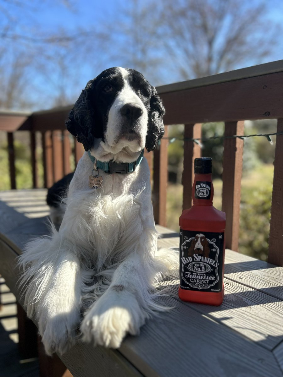 PriscillaGrayDC's tweet photo. Regis is very curious about how #SupremeCourt will rule in @JackDaniels_US vs #VIPproducts today’s #1stamendment #copyright case @GrayTVDogs https://t.co/6ntF3UR3Se