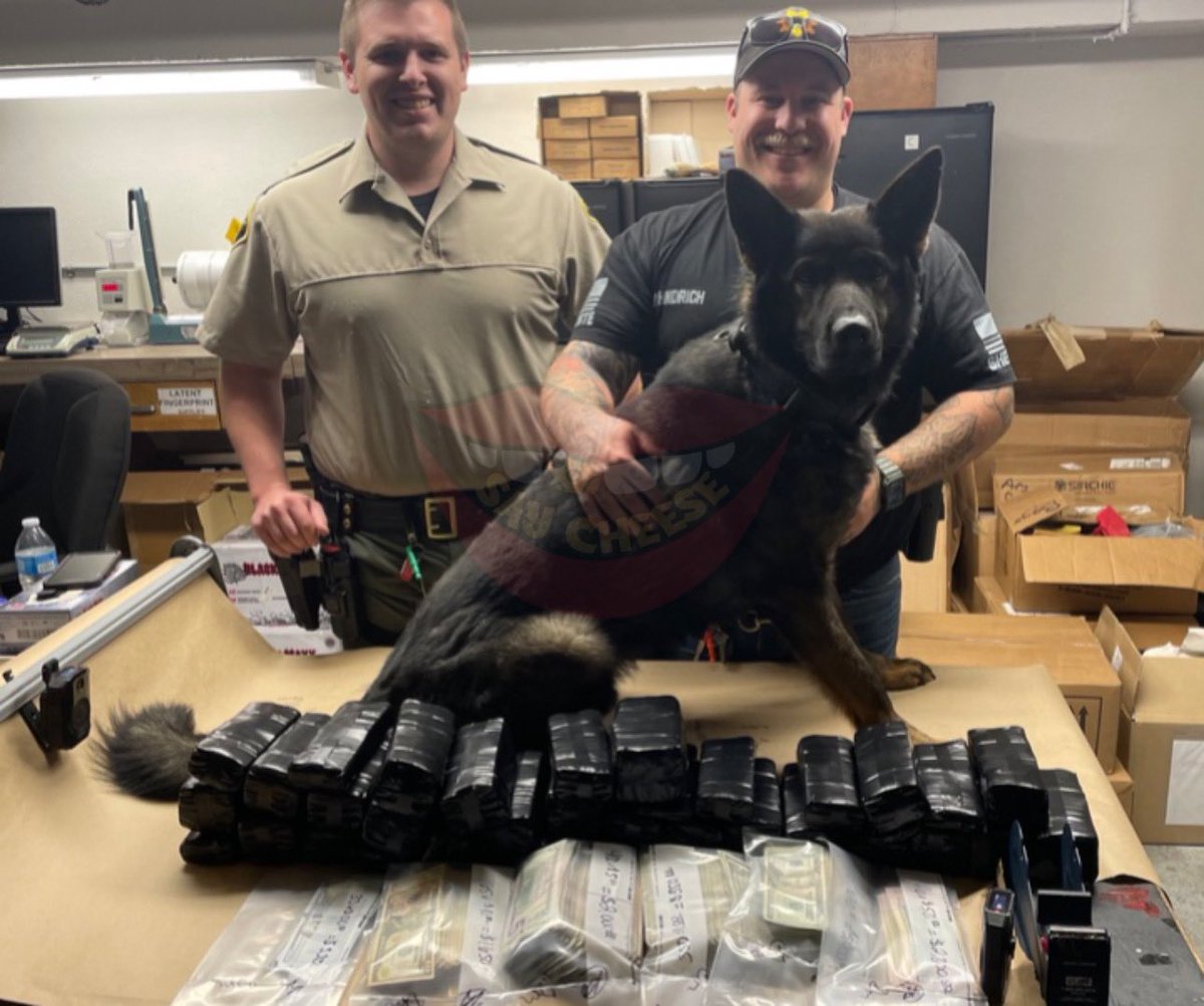 SaycheeseDGTL's tweet photo. Arizona man was arrested in California for having $375,000 on him. “He had out of town license plates &amp; was driving too slow. He looked suspicious. He also had a small personal use of cocaine which alerted the K9 https://t.co/JKrZr3RYUE