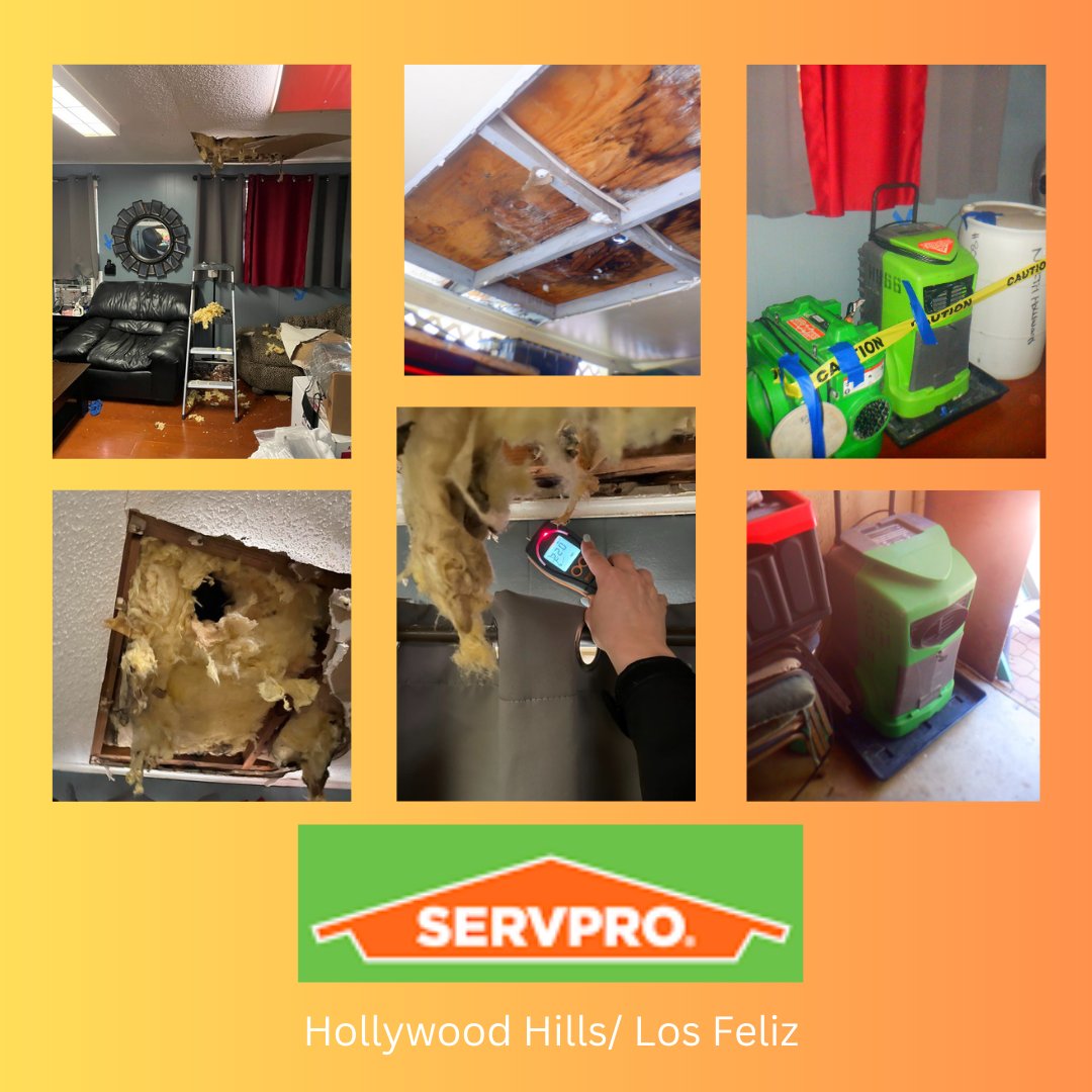 #servpro #hollywoodhills #DreamTeam