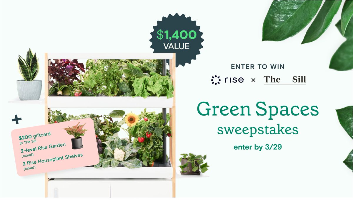 Rise Gardens (@risegardens) on Twitter photo We've teamed up with <a href="/TheSill/">The Sill</a> to giveaway a luscious, peaceful sanctuary to one lucky winner. 
Head to our website to learn more + enter today: risegardens.com/pages/risexthe…
#gardeningtwitter #plants We've teamed up with <a href="/TheSill/">The Sill</a> to giveaway a luscious, peaceful sanctuary to one lucky winner. 
Head to our website to learn more + enter today: risegardens.com/pages/risexthe…
#gardeningtwitter #plants