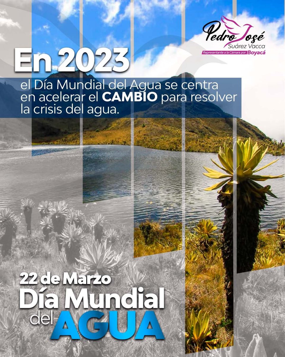 El Día Mundial del Agua se celebra anualmente el 22 de marzo como un medio para centrar la atención en la importancia del agua y abogar por la gestión sostenible de los recursos del agua. Se trata de tomar medidas para hacer frente a la crisis mundial del agua.
#DiaMundialDelAgua