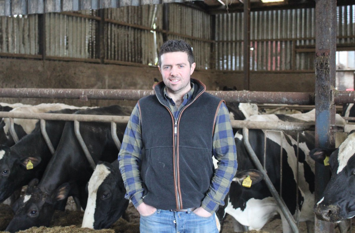 Holstein Young Breeders tweet media